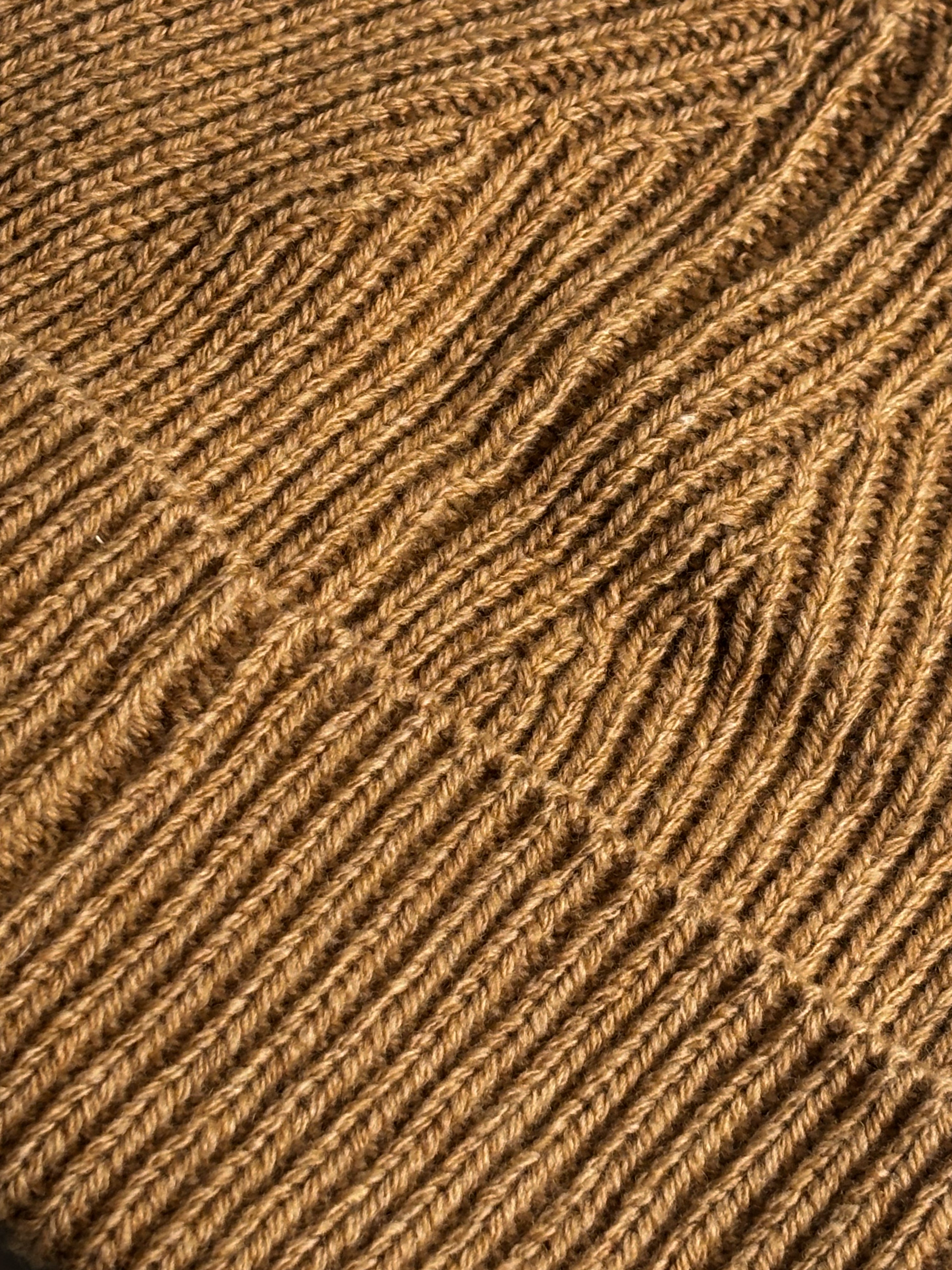 Guaranteed To Keep You Hot Camel Beanie